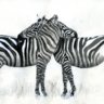ZebraMCAlts