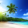 Tropicalisland