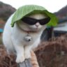 bobman
