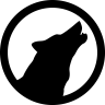 cameronraygun