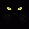 Kitty