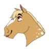 ErxticOllie