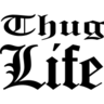 FastPot