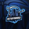 HCFSkybridge