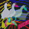 Ducko
