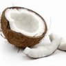CoconutShell
