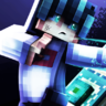 HippedMC