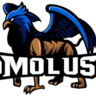 Molus.net