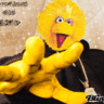 Chicks