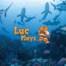 Clownfish