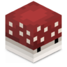 Seta