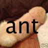 Antvfx