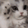 Maiu