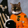 OrangCrsh