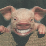 ArnVG