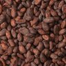 Cocoa Beans