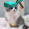 oofings_