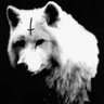 DirewolF_ZA