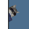 ShaunIV