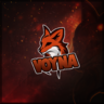 Voyna