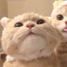 177612