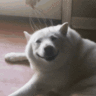 luvvvvyanimation