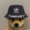 harveyCSGO