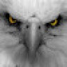 thehawk477