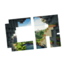 jfrank220