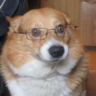 TheRealDog
