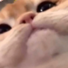 Racami