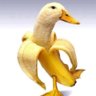 VinnyV