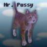 Mr.Pu55y