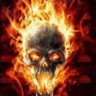 avivkiller