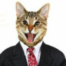 Gato
