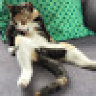 Rax