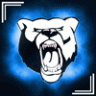 BarelyBear