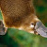 Nigel0226