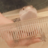 figbread