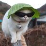 StaaffHunter