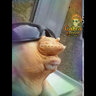 Physa_Religion