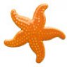 Starfish