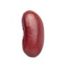 InnocentBean