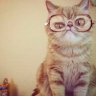 MissGeek