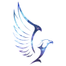 Falcon Infinity Bt