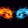 ffsd_Flxw