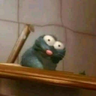 dqum