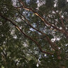 smitug001