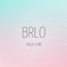 BRLO BuildTeam