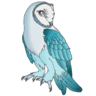 AquaOwlie